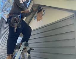 Best Siding Painting and Refinishing  in Lovelock, NV